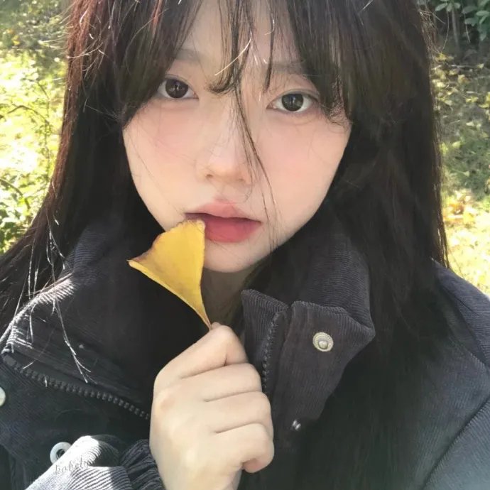 少狼:大电影海报